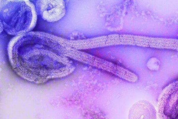 China's eerste bioveiligheidswet: infectieziektebestrijding, bioveiligheid in laboratoria en preventie van biologische oorlogsvoering